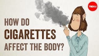 How do cigarettes affect the body? | TED - Thuốc lá ảnh hưởng cơ thể như thế nào?